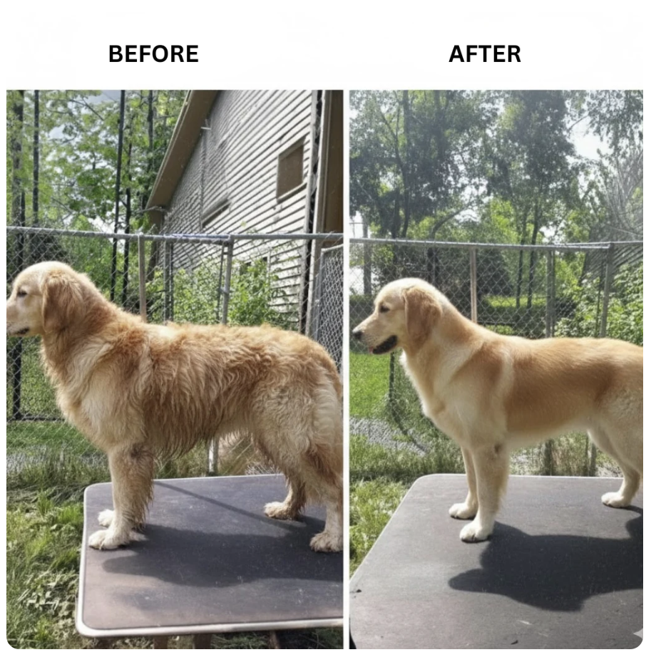 Feeme™ Pet DeShedding Tool