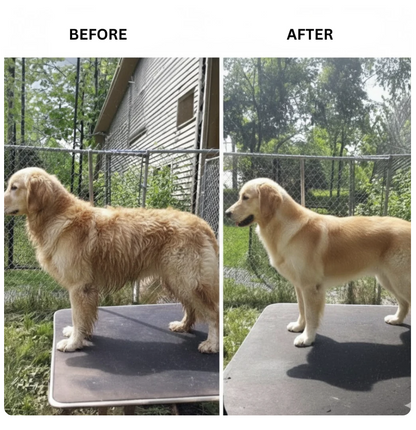 Feeme™ Pet DeShedding Tool